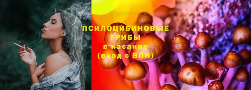 Галлюциногенные грибы Cubensis  Алдан 